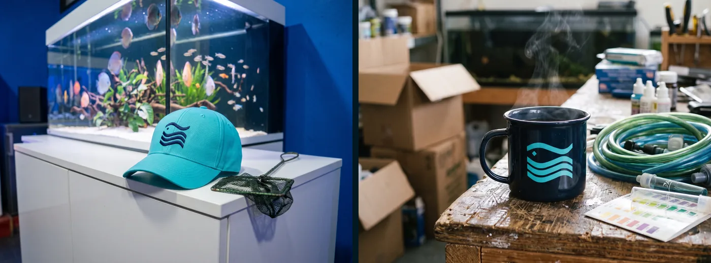 La casquette sur un meuble d’aquarium et le mug émaillé dans l’arrière-boutique