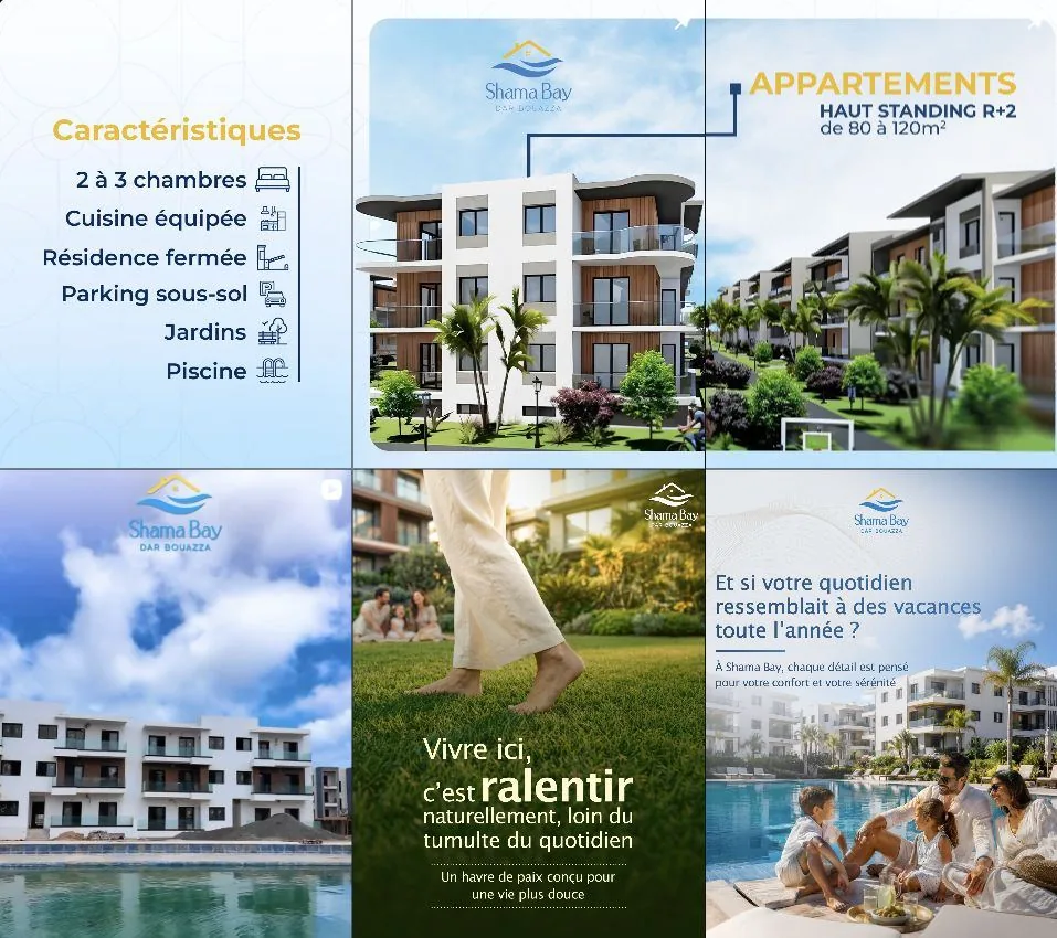 Capture réelle du fil Instagram Shama Bay, avec les publications et les couvertures de Reels