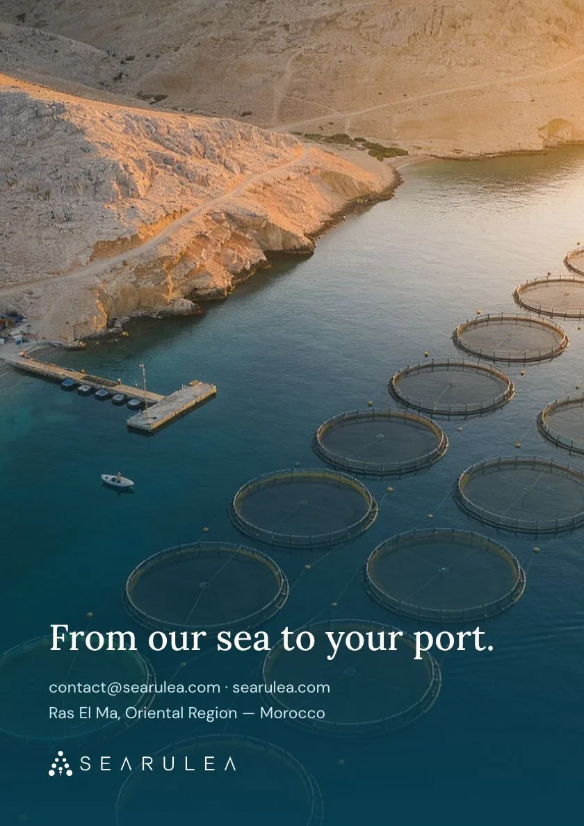 Brochure Searulea