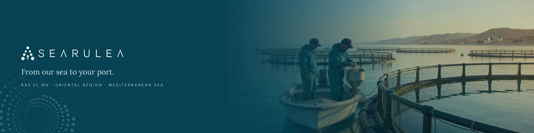 Application de la marque Searulea : identité bleu canard, images aquacoles et la signature « From our sea to your port »